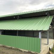 Img 91341